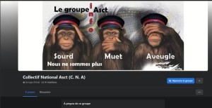 Page-Facebook-du-Collectif-national-ASCT-1535071